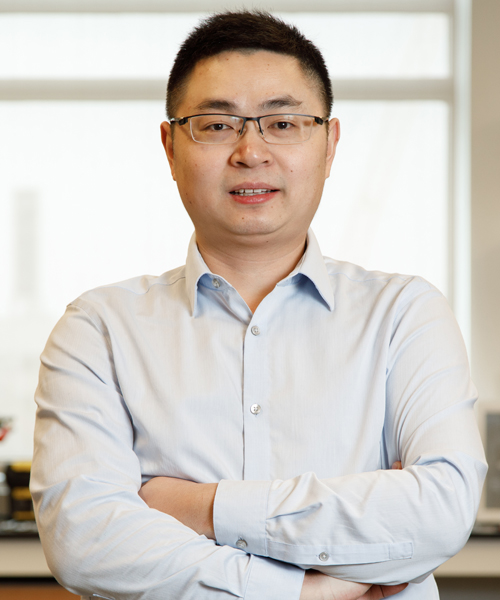 Prof. Cunjiang  Yu