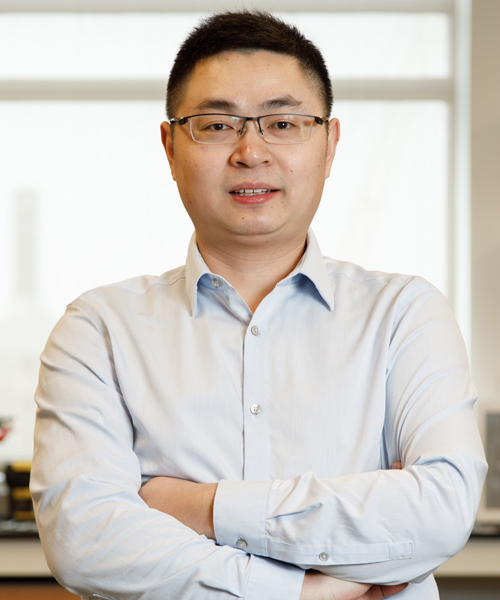 Prof. Cunjiang  Yu 